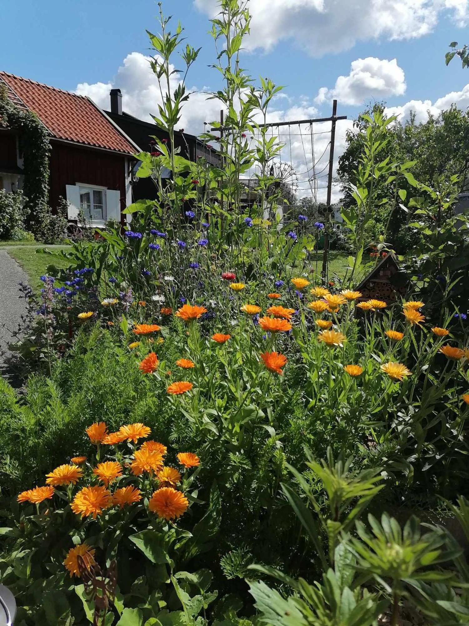 Rustik Stuga Med Lantlig Kaensla Naera Oerebro City Exterior foto