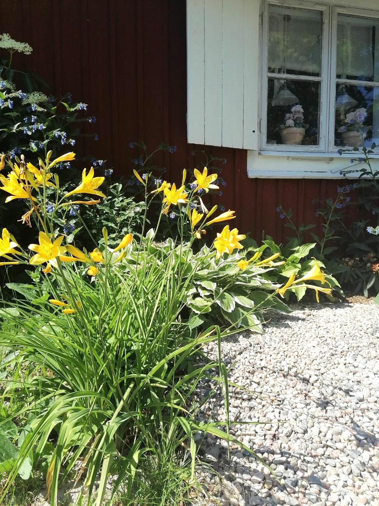 Rustik Stuga Med Lantlig Kaensla Naera Oerebro City Exterior foto